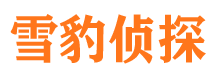 杞县市婚姻调查